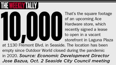 The Weekly Tally 10.09.25