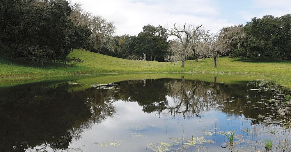 Using state grants, the Esselen Tribe of Monterey County acquires 1,720 acres in Carmel Valley for $8.6 million.