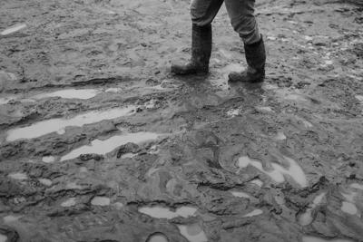 Flood
