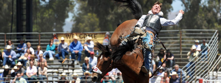 Broncs, bulls, steers and a whole lot of cowboys on the final day of the California Rodeo Salinas.  