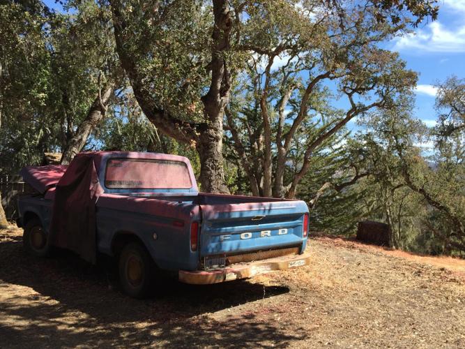 Pink truck.
