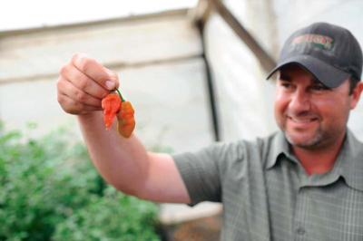 The ghost pepper, the world’s spiciest, presents a goldmine of an opportunity – if Salinas farmers can get it to grow.  