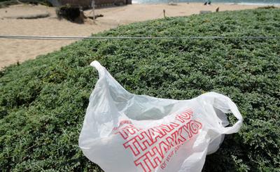 Plastic bag