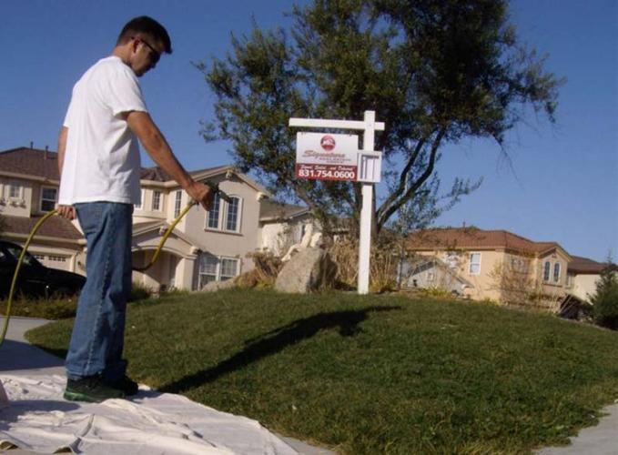 Foreclosure and drought spawn a strange local business: lawn painting.  