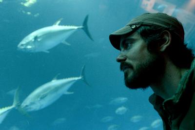 Traces of Fukushima radiation help scientists track Pacific bluefin migration.