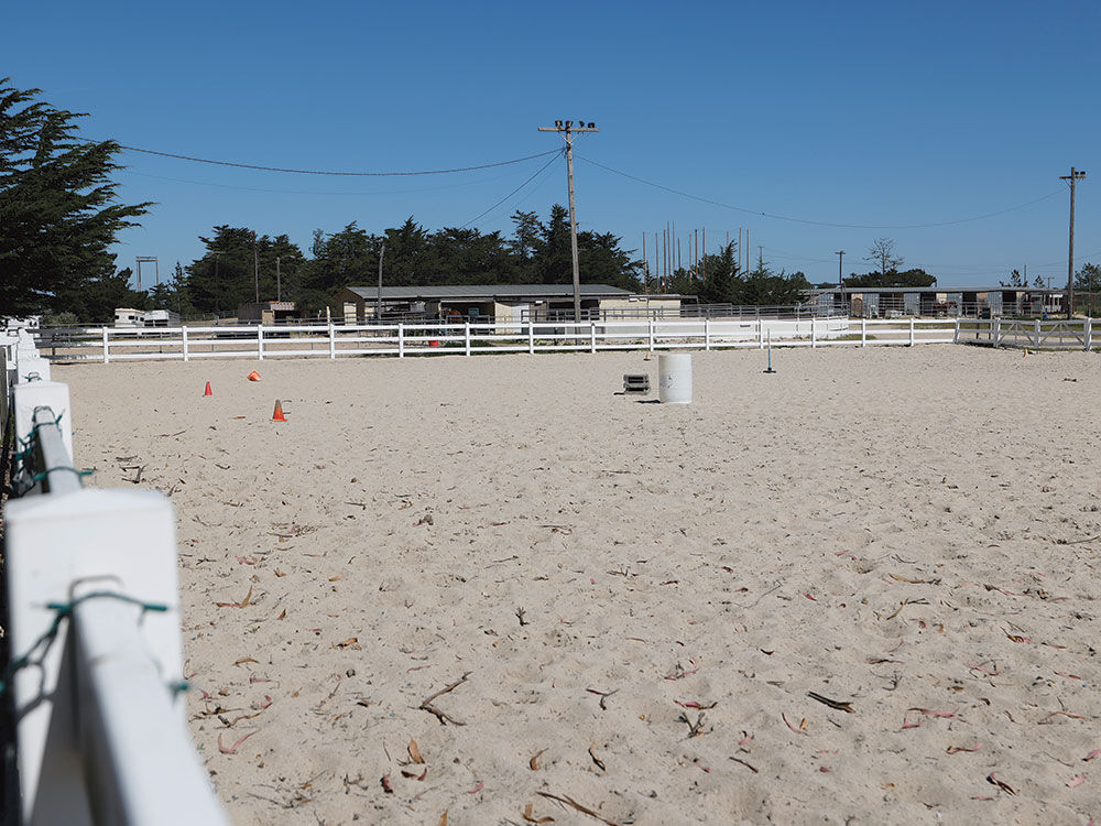 Marina Seeks New Operator for Equestrian Center | News ...