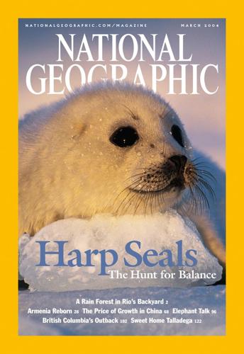 NGMCover-HarpSeals.CR_BrianSkerry.jpg