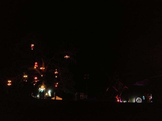 Lights in trees.JPG