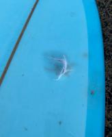 Surfer safe but shaken after a shark crashes into his board from below. In an odd twist, he's connected to a local shark bite survivor.