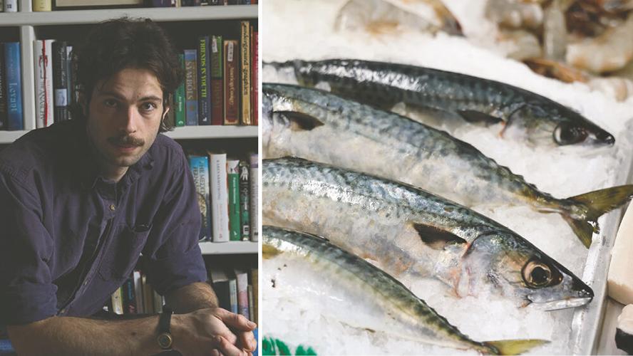 A Fine Kettle of Fish