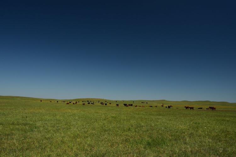 20190714_new_sandhills_pic12