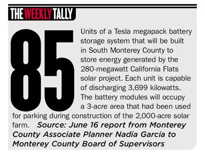 The Weekly Tally 06.18.20