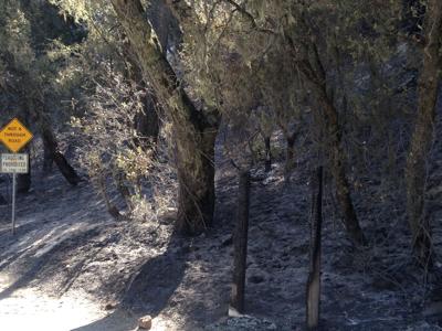 Tassajara fire damage