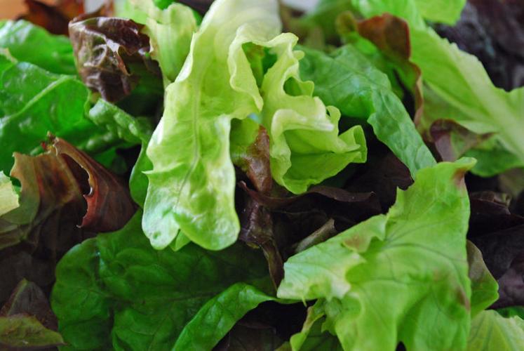 Greens for Taylor Farm image