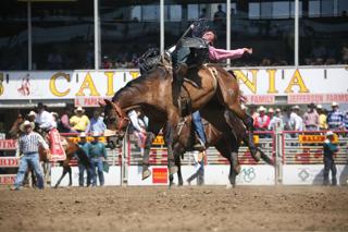 Are you ready for the rodeo?