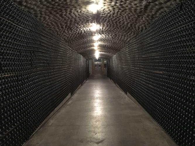 Modern Cava Cave