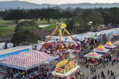 MoCoFair2017NC_014.jpg (copy)