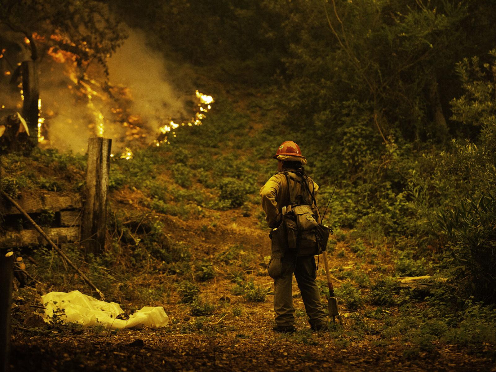 There’s more to this woeful fire insurance story. Here’s how