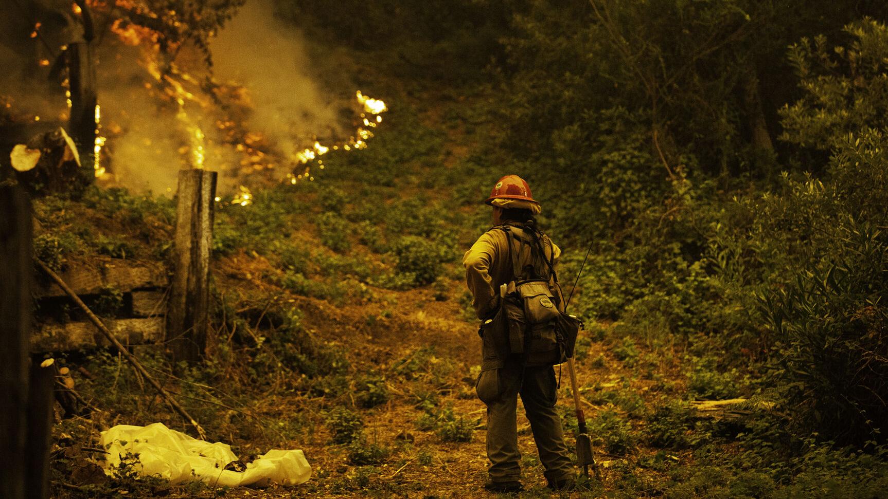 There’s more to this woeful fire insurance story. Here’s how