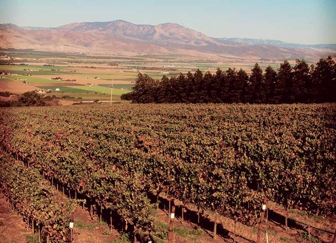 One Day - Hahn Wineries