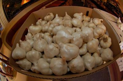 Box of Gilroy garlic