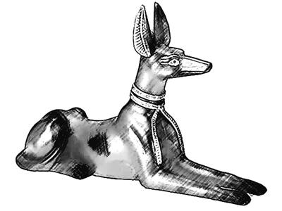 •ICN_FORUM_Anubis
