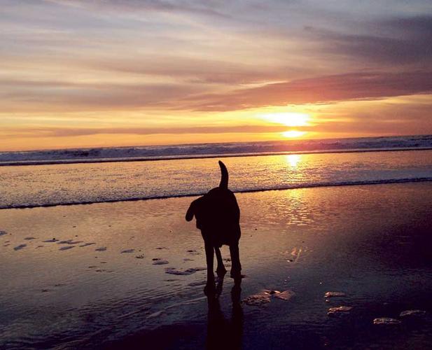 One Day - Carmel Beach