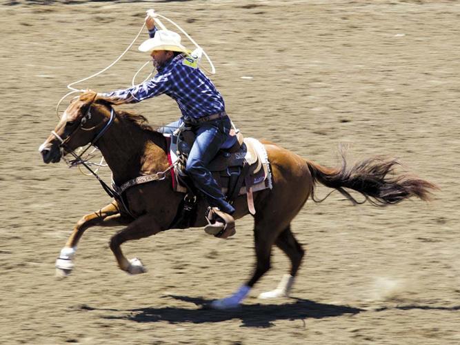 Full Range - Rodeo 2019