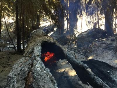 Soberanes Fire