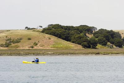 Elkhorn Slough