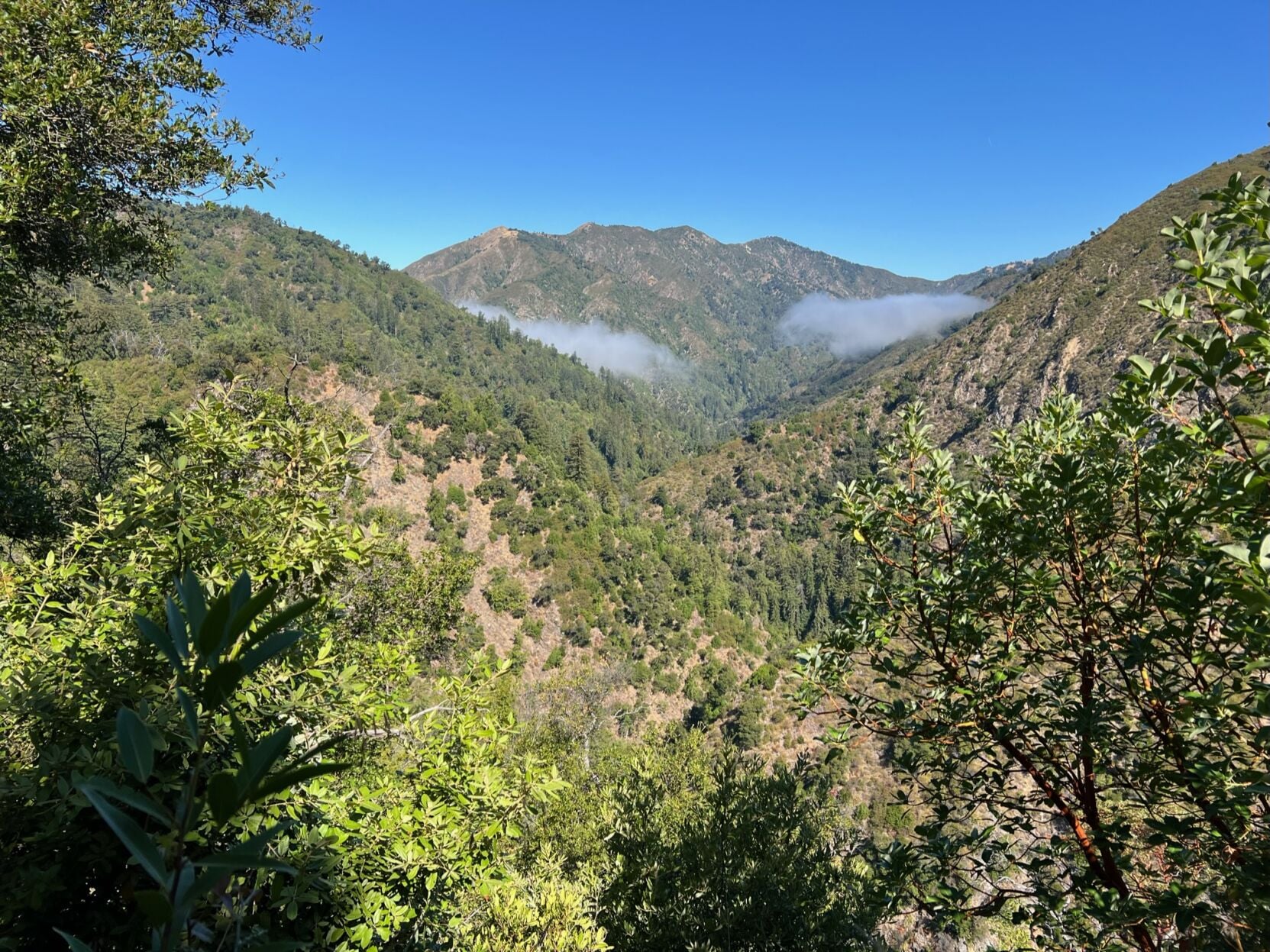 Ventana Wilderness