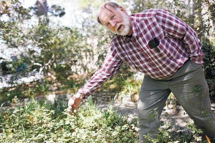 How to grow a gorgeous garden (even during a drought) that would make Gov. Jerry Brown happy.