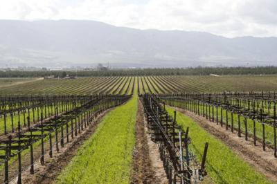 State Water Board Puts Parts of Controversial Ag Waiver on Hold  