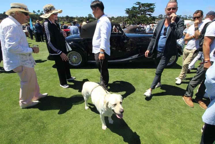 Concours d'Elegance 2024 2