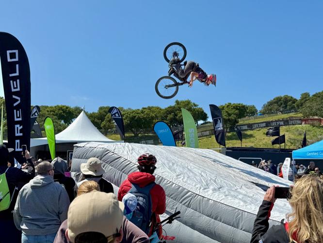 Sea Otter stunt show