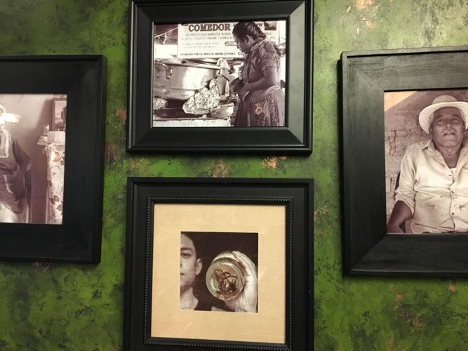 Portraits of Inspiration