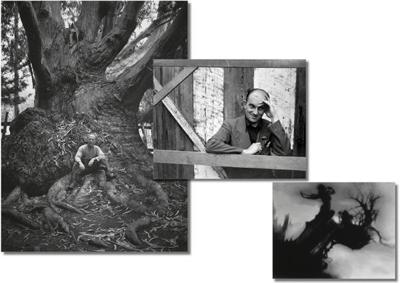 Photography became an art form 80 years ago on the Monterey Peninsula. Ten current shows keep the tradition alive.  