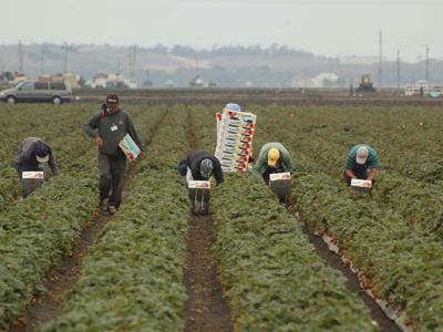 Farming Out