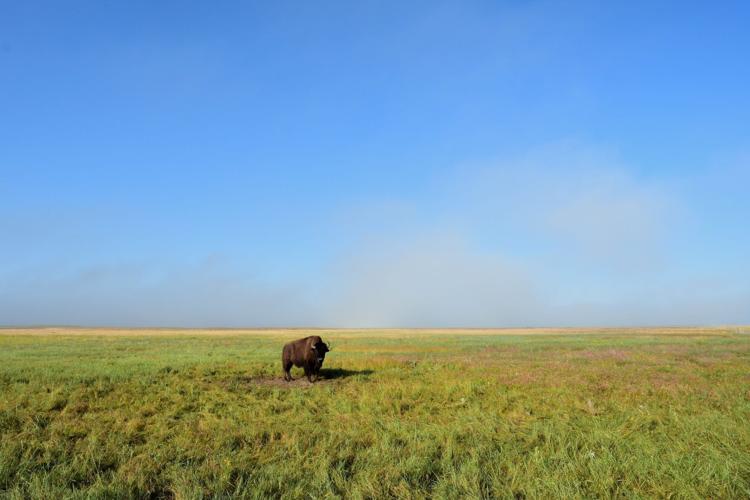20190714_new_sandhills_pic2