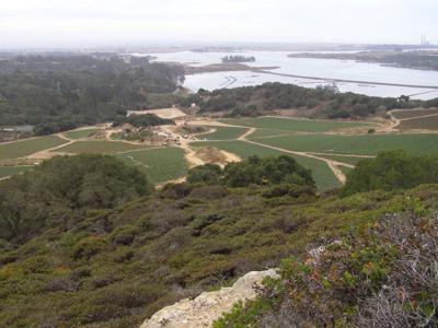 Sand Hill Farm and Eklhorn Slough