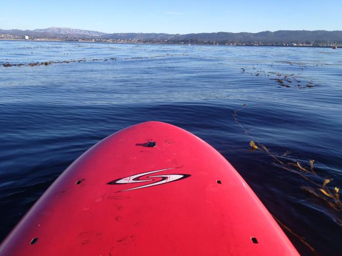 SUP on the Water