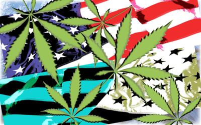 MMJ_USA-flag