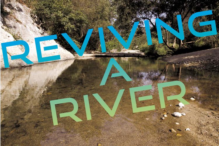 Reviving a River