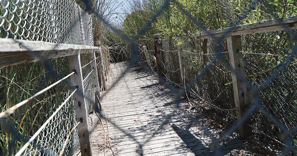 Projects in Locke-Paddon Park are on hold as officials assess a Marina park’s future.