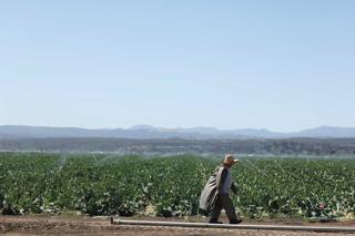 It’s a critical year to pick a solution to save Monterey County’s aquifers. The questions are how, and who pays?