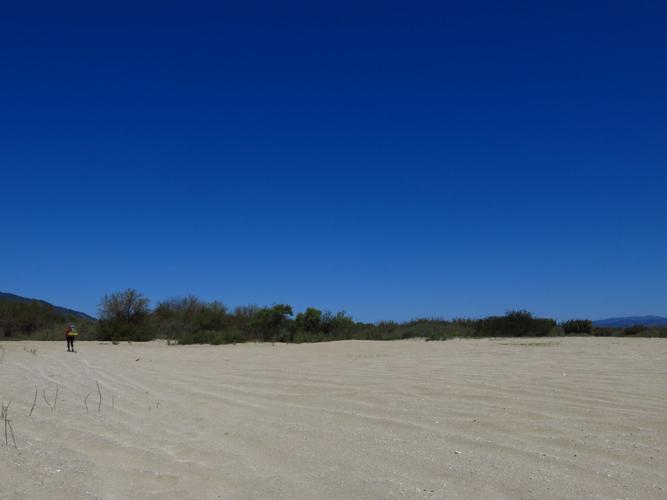 Little Sahara