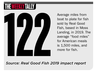 the Weekly Tally