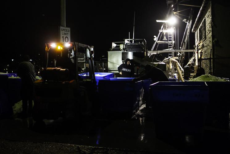 Jeremy Turner squid fishing