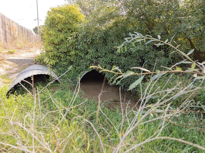 A Tale of Two Creeks