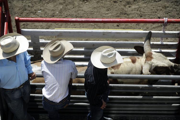 California Rodeo Salinas